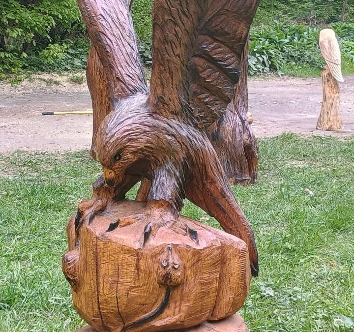 Red Kite Hunting Mice – Local Oak